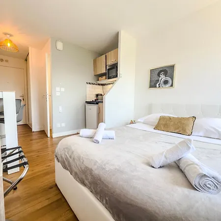 L'emile Zola - Mc2 - Parc * غرونوبل