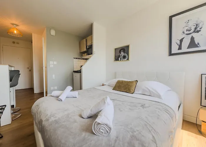 L'emile Zola - Mc2 - Parc Apartment *