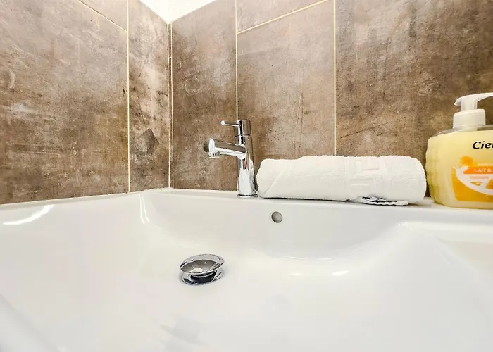 Apartment L'emile Zola - Mc2 - Parc Grenoble