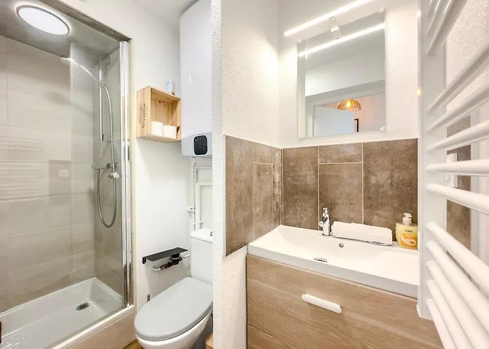 Apartment L'emile Zola - Mc2 - Parc